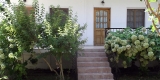 Photos